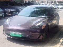 Tesla Model 3 Rear-Wheel Drive - ფოტო 1