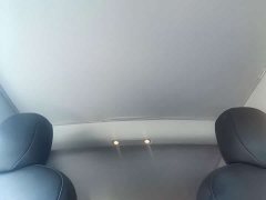 Tesla Model 3 Rear-Wheel Drive - ფოტო 16