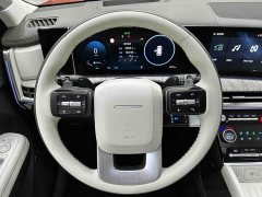 Hyundai Santafe 2.0T Connoisseur Ultra - ფოტო 8