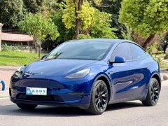 Tesla Model Y Long Range All-Wheel Drive 3D7 - ფოტო 1