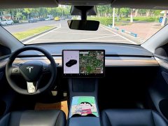 Tesla Model Y Long Range All-Wheel Drive 3D7 - ფოტო 10