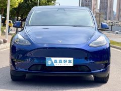 Tesla Model Y Long Range All-Wheel Drive 3D7 - ფოტო 2