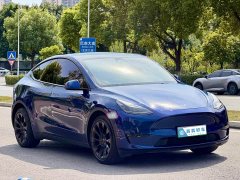 Tesla Model Y Long Range All-Wheel Drive 3D7 - ფოტო 3