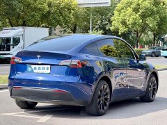 Tesla Model Y Long Range All-Wheel Drive 3D7 - ფოტო 4