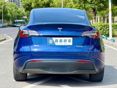Tesla Model Y Long Range All-Wheel Drive 3D7 - ფოტო 5
