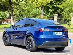 Tesla Model Y Long Range All-Wheel Drive 3D7 - ფოტო 6