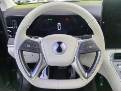 Denza BYD Denza N9 Flagship - ფოტო 6