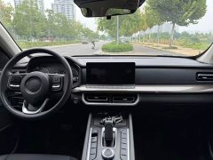 Geely Cannon 2.4T Commercial Automatic Diesel 4WD Elite - ფოტო 4