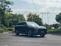 Great Wall WEY Blue Mountain Four-Wheel Drive Extended Range Version - ფოტო 3