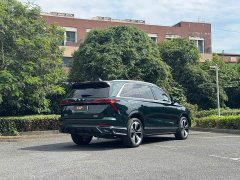 Great Wall WEY Blue Mountain Four-Wheel Drive Extended Range Version - ფოტო 7