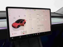 Tesla Model Y Rear-Wheel Drive - ფოტო 10
