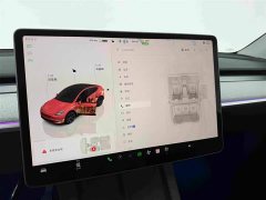 Tesla Model Y Rear-Wheel Drive - ფოტო 11