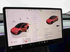 Tesla Model Y Rear-Wheel Drive - ფოტო 12
