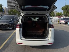 GAC Aion M6 PRO 270T DCT Luxury - ფოტო 8