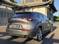 Mazda CX-30 2021 2.0L Automatic Elegance - ფოტო 6