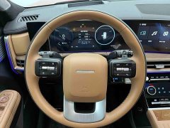 Hyundai Santafe 2.0T Connoisseur Ultra - ფოტო 8