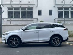 BYD Tang New Energy DM-i 112KM Premium Edition - ფოტო 3
