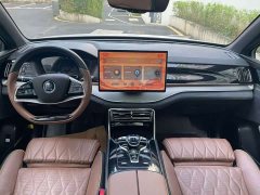 BYD Tang New Energy DM-i 112KM Premium Edition - ფოტო 9