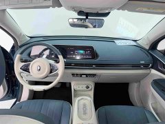 ORA Good Cat 401km Standard Range Luxury LFP - ფოტო 6
