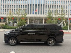 Great Wall WEY Shanshan New Energy Four-Wheel Drive Shanshan 8 - ფოტო 5