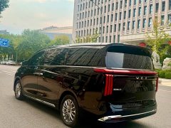 Great Wall WEY Shanshan New Energy Four-Wheel Drive Shanshan 8 - ფოტო 6