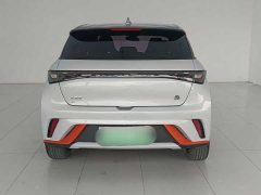 BYD Dolphin 420km Fashion Edition - ფოტო 7