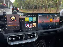 Beijing Jeep BJ40 Extended Range Long Endurance 201 Max - ფოტო 12