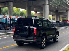 Beijing Jeep BJ40 Extended Range Long Endurance 201 Max - ფოტო 16