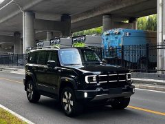 Beijing Jeep BJ40 Extended Range Long Endurance 201 Max - ფოტო 2