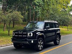 Beijing Jeep BJ40 Extended Range Long Endurance 201 Max - ფოტო 3