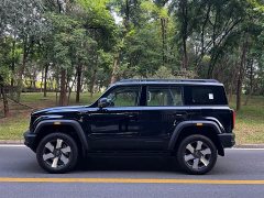 Beijing Jeep BJ40 Extended Range Long Endurance 201 Max - ფოტო 4