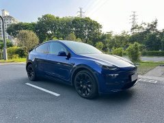 Tesla Model Y 2022 Facelift Long Range All-Wheel Drive - ფოტო 8