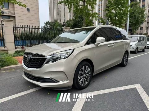 2021 Buick GL8 ES Land Respect 653T Luxury - ავტომობილი ჩინეთიდან