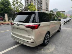 Buick GL8 ES Land Respect 653T Luxury - ფოტო 5