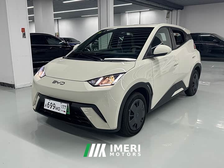 BYD Seagull 305km Vitality Edition - ავტომობილი ჩინეთიდან