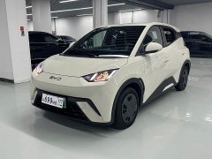 BYD Seagull 305km Vitality Edition - ფოტო 1
