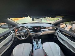 BYD Qin PLUS Champion Edition DM-i 120KM Leading - ფოტო 3