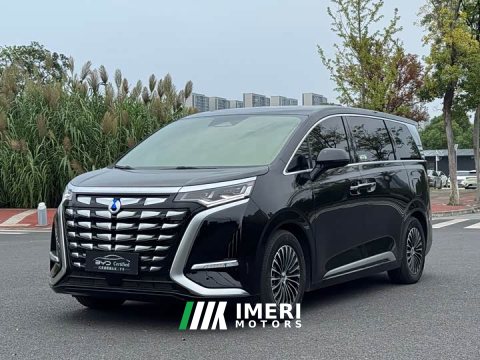 2024 Denza BYD Denza D9 DM-i 1050 Premium - ავტომობილი ჩინეთიდან