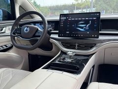 Denza BYD Denza D9 DM-i 1050 Premium - ფოტო 10