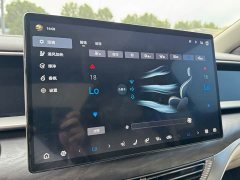Denza BYD Denza D9 DM-i 1050 Premium - ფოტო 7