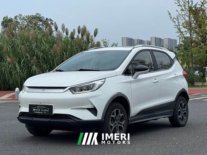 BYD Yuan Pro 2021 401KM Deluxe - ავტომობილი ჩინეთიდან