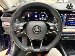 Skoda Octavia PRO TSI280 Luxury Edition - ფოტო 14