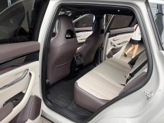 BYD Song Plus New Energy DM-i 112KM Prestige - ფოტო 10