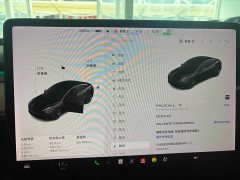 Tesla Model 3 Standard Range RWD Upgrade - ფოტო 9