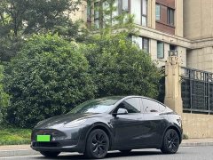 Tesla Model Y Long Range All-Wheel Drive - ფოტო 1