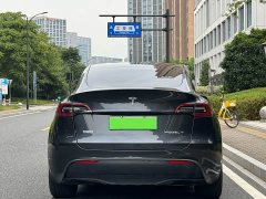 Tesla Model Y Long Range All-Wheel Drive - ფოტო 12