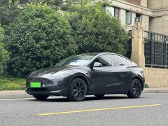 Tesla Model Y Long Range All-Wheel Drive - ფოტო 2