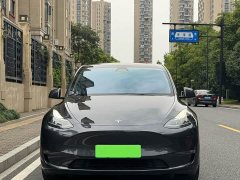 Tesla Model Y Long Range All-Wheel Drive - ფოტო 3