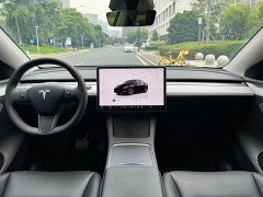 Tesla Model Y Long Range All-Wheel Drive - ფოტო 7