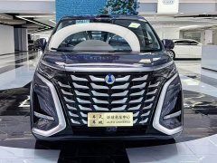 Denza BYD Denza D9 DM-i Smart Drive 1020 Four-Wheel Drive Premium - ფოტო 2